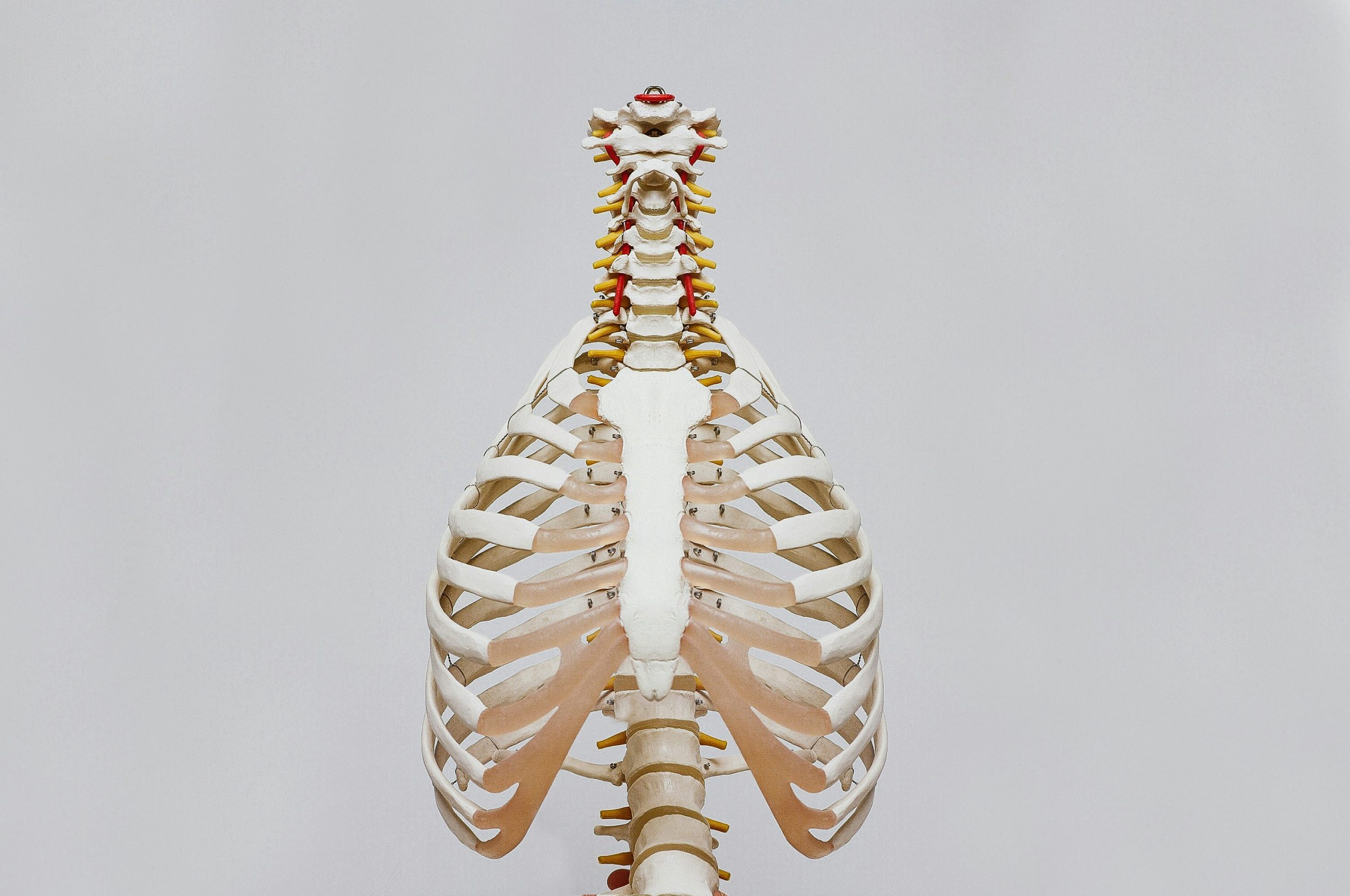 Medical equipment supplier